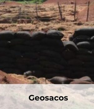 geosacos